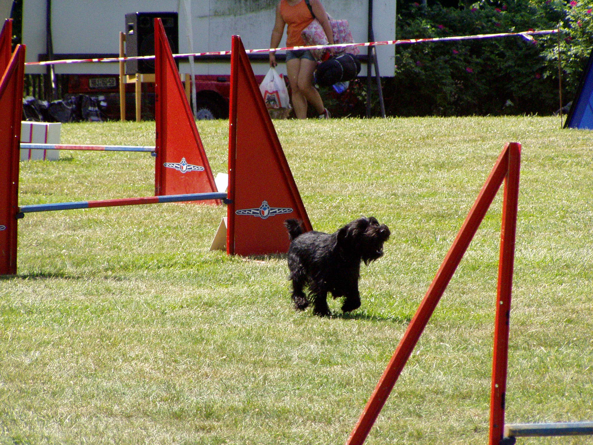 SULTÁN CUP 2007 II.