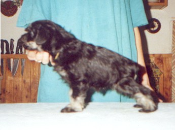 Sourozenci II.