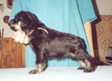 Sourozenci III.
