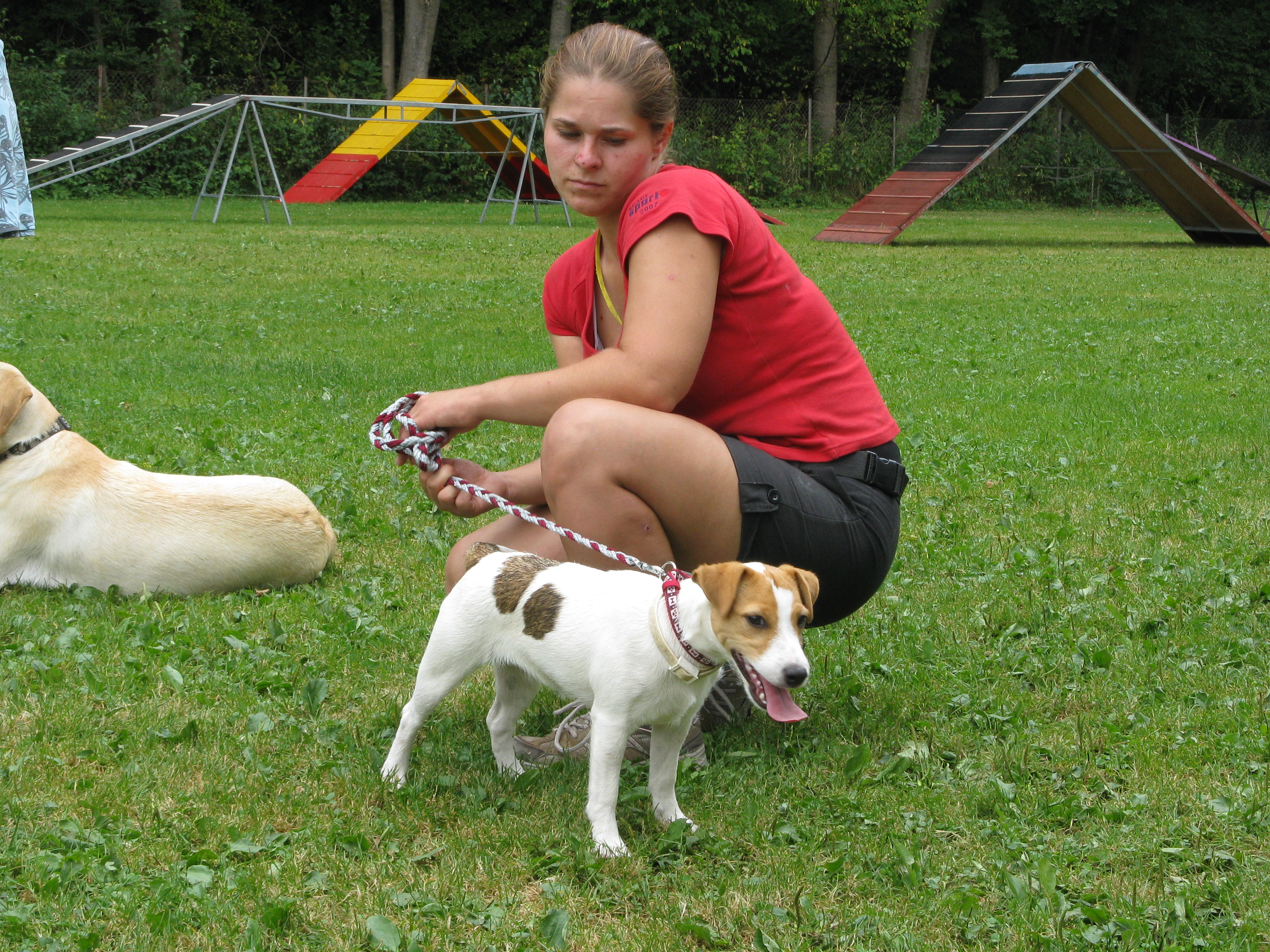 Agility soustředění VI.