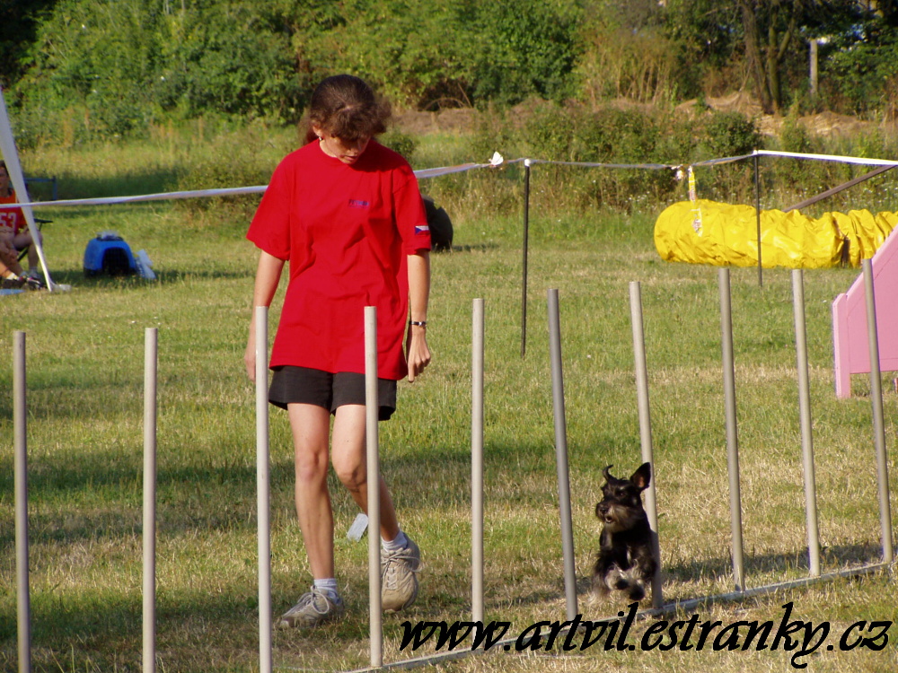 Denny a agility II.