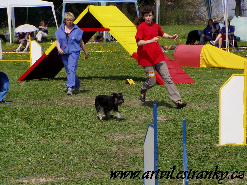 Denny a agility III.