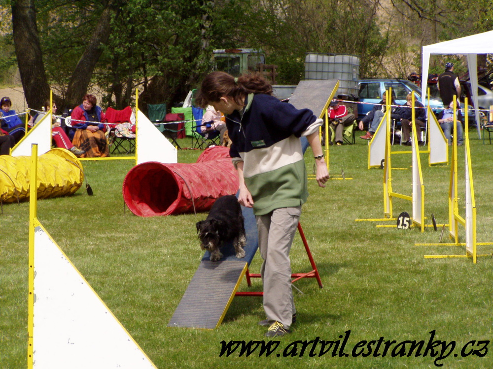 Denny a agility IV.