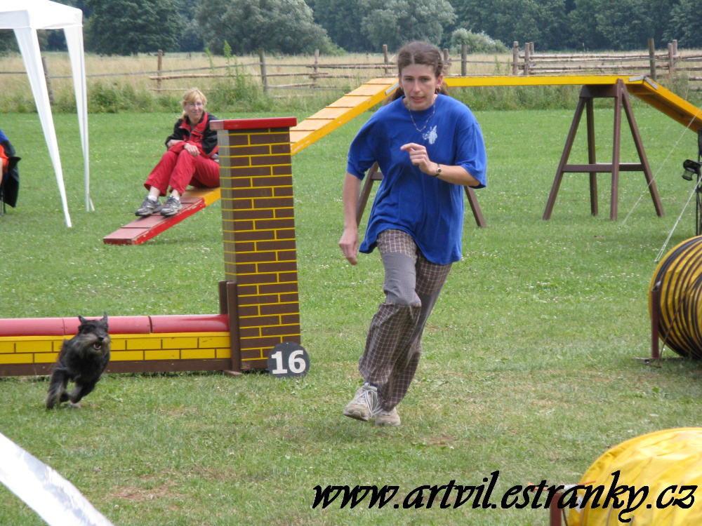 Denny a agility V.