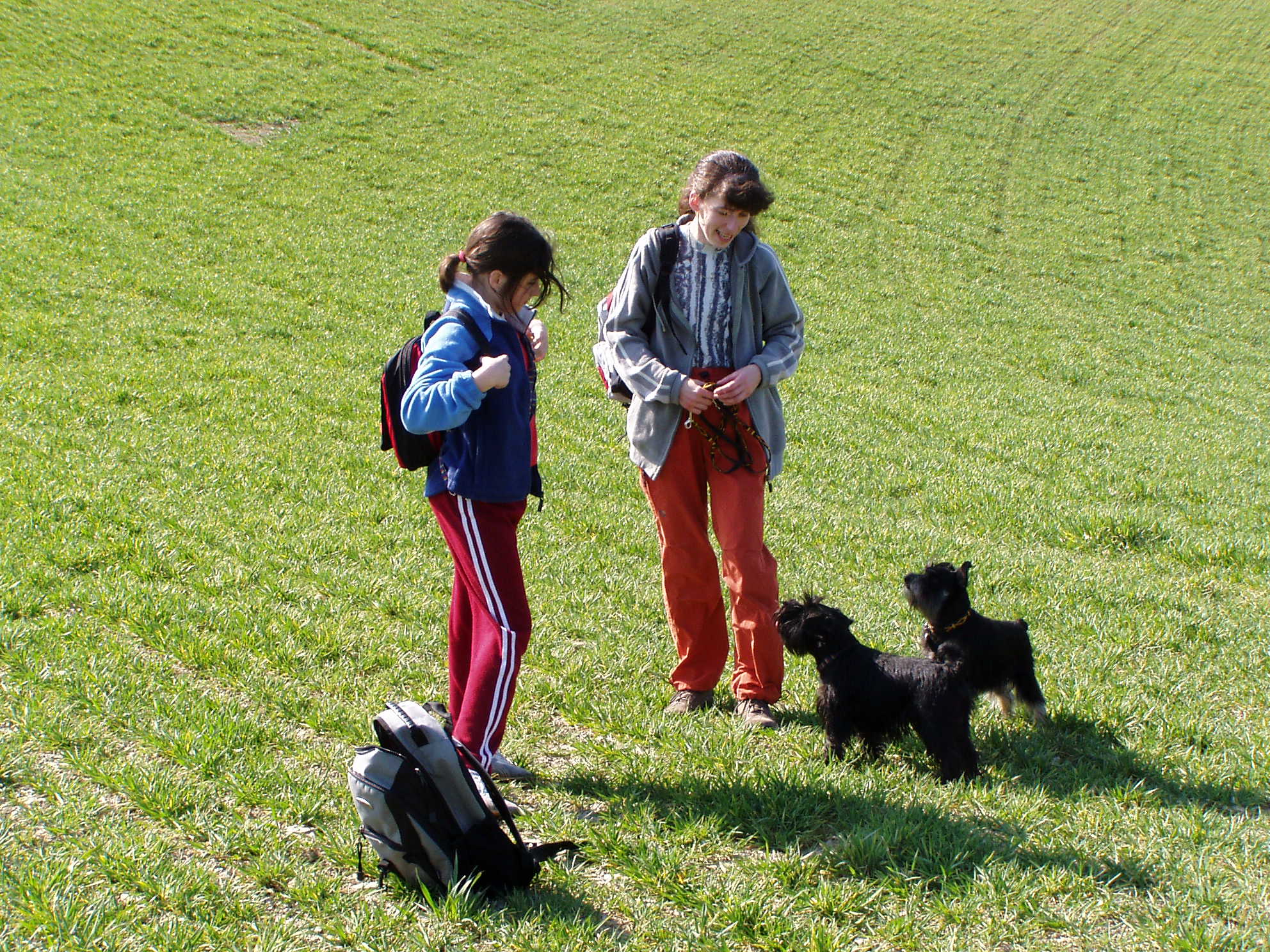 1. trénink na dogtrek Žamberk - Letohrad