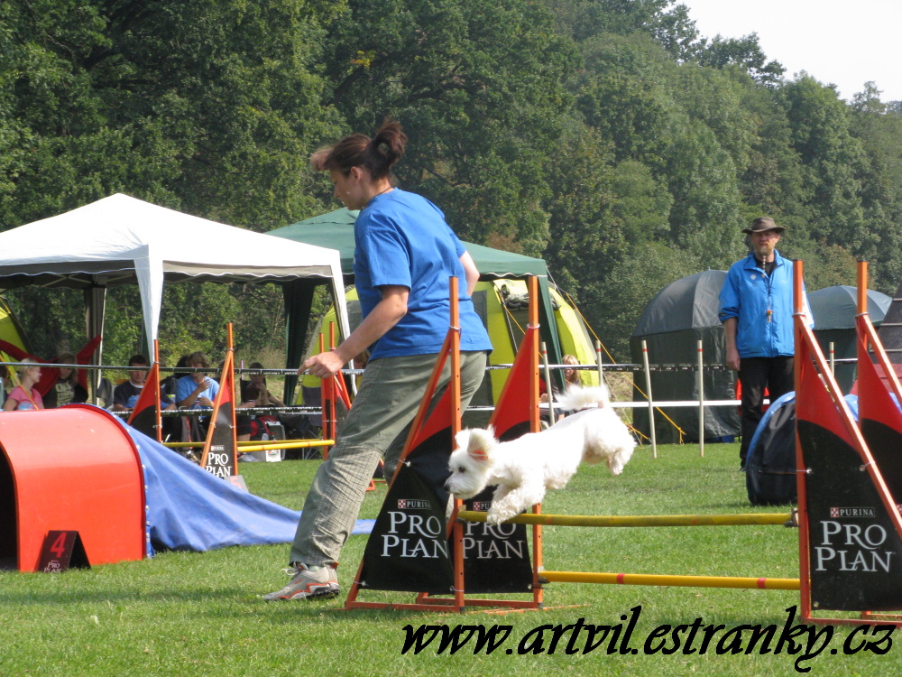 MČR v agility 2009 V.