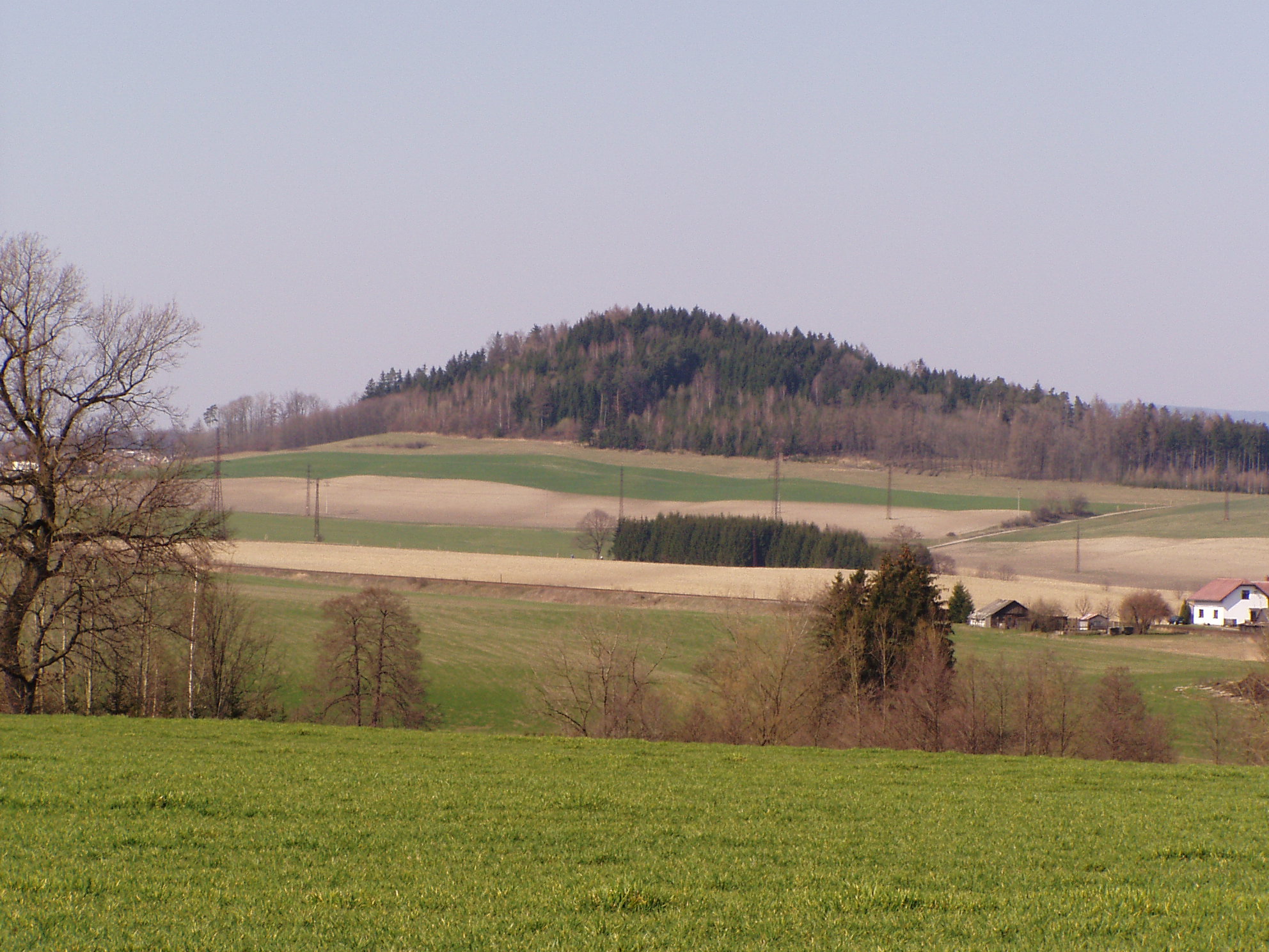 Žamberk - Letohrad IV.
